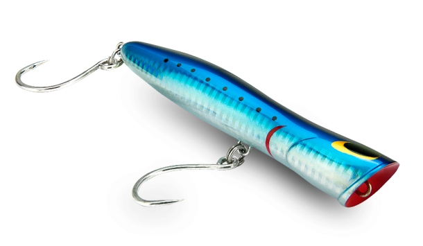 Victoria's Hopkins River provides some good sport fishing options for loclas in the know. Image: Tim Vincent